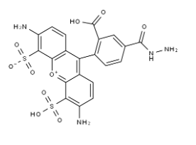 2500973-94-2，Alexa Fluor488 hydrazide