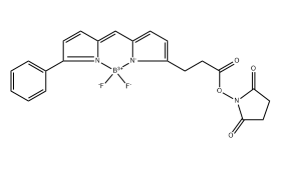 BODIPY R6G NHS ester，335193-70-9