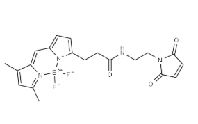 BDP FL Maleimide，773859-49-7