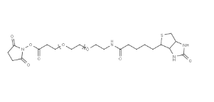 Desthiobiotin-PEG12-NHS ester