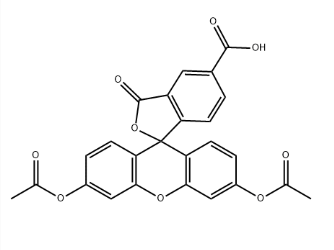 79955-27-4，5- 羧基荧光素二乙酸酯