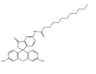 107827-77-0，5-十二烷酰氨基荧光素