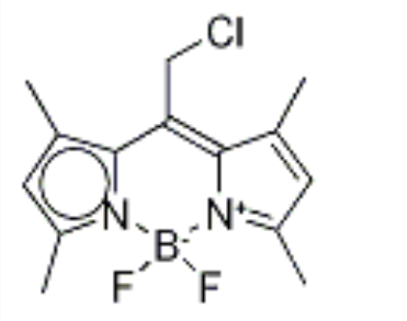 BODIPY 8-Chloromethane，208462-25-3