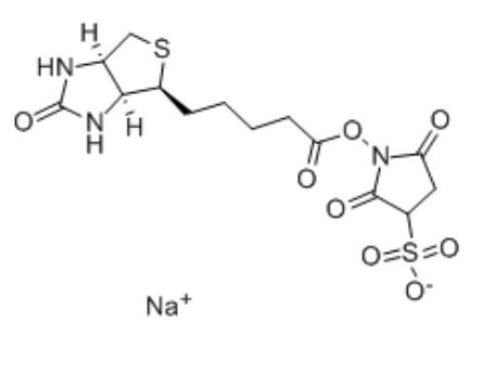 119616-38-5，生物素-磺酸琥珀酰亚胺酯