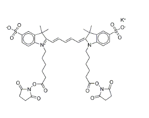 Sulfo-Cy5 bis-SE，252255-42-8