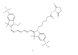Sulfo-Cy7-E 琥珀酰亚胺酯，855309-68-1