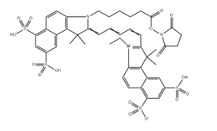 Sulfo-Cy5.5-E 琥珀酰亚胺酯，442912-55-2