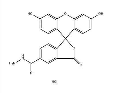 2183440-64-2，5-FAM-酰肼盐酸盐
