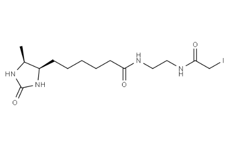2924824-04-2，脱硫生物素-碘乙酰胺