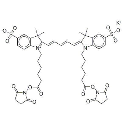 252255-42-8，Sulfo-Cyanine5 bis-NHS ester