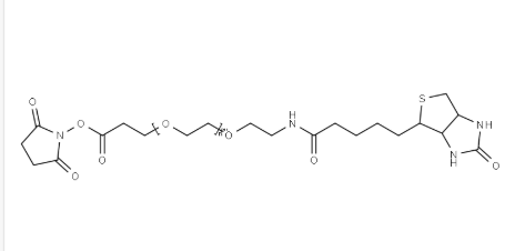 Biotin-PEG24-NHS，365441-71-0