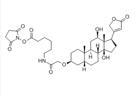 Digoxigenin NHS ester，129273-26-3
