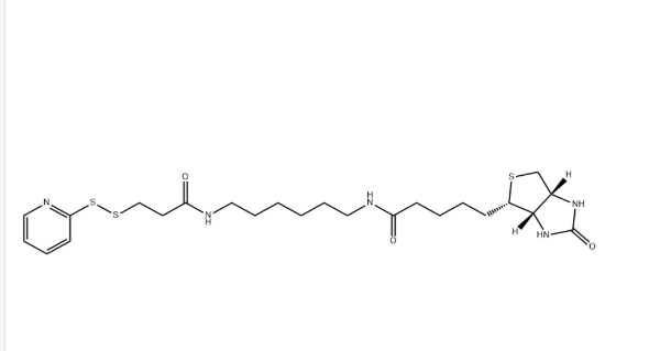 129179-83-5，生物素-二硫吡啶