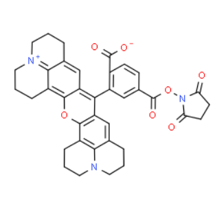117491-83-5，ROX SE, 6-isomer