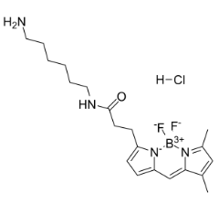 2183473-03-0，BODIPY FL NH2