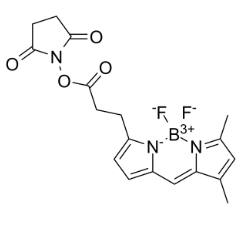 BODIPY FL NHS ester,146616-66-2