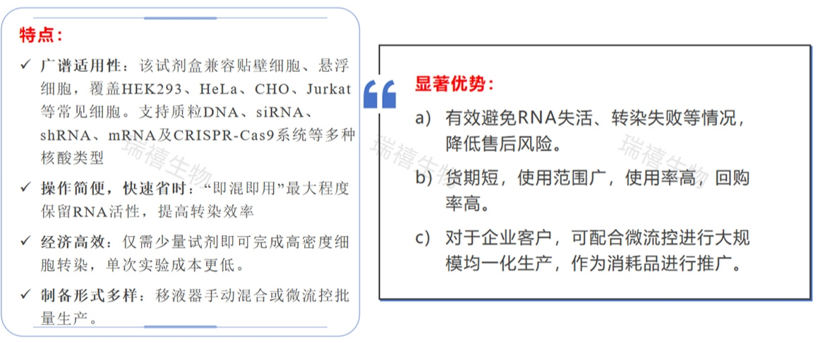 LNP转染试剂盒