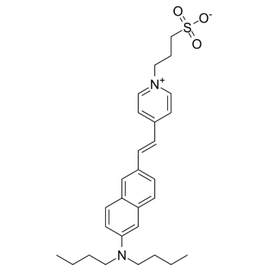 Di-4-ANEPPS，90134-00-2