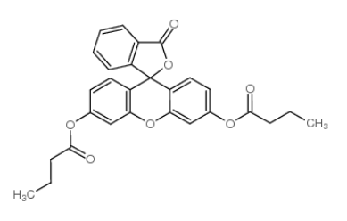 7298-65-9，荧光素二丁酸酯