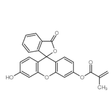 Fitc-methacrylate，480439-15-4