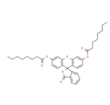 19722-86-2，Fluorescein dioctanoate