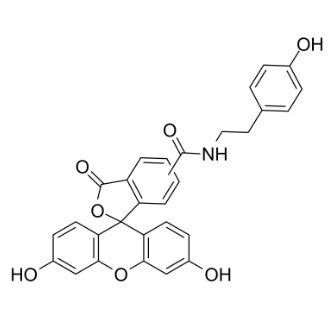 Fluorescein Tyramide，210236-90-1