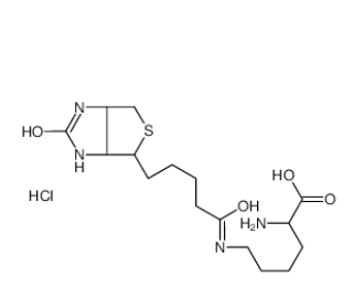Biocytin hydrochloride，98930-70-2