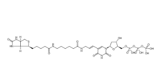 86303-25-5，Biotin-11-dUTP，生物素-11-dUTP