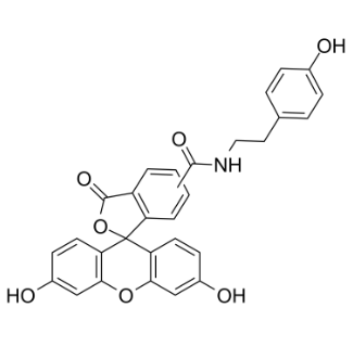 Fitc-TSA，210236-90-1，FITC Tyramide