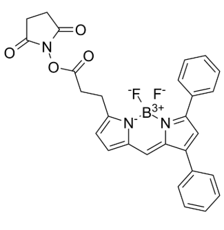 BODIPY 530/550 NHS Ester，216961-93-2