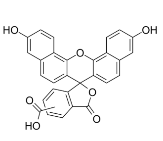ATTO 550 NHS Ester