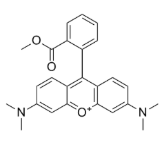 115532-49-5，Tetramethylrhodamine