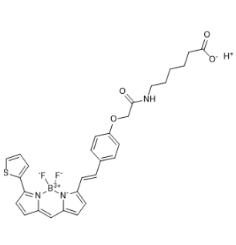 268725-21-9，BODIPY 630-X