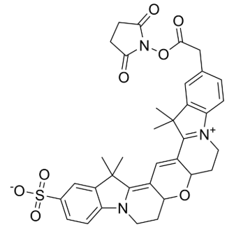 228272-52-4，Cyanine3B NHS ester