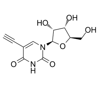 69075-42-9，5-Ethynyl uridine