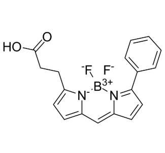 174881-57-3，BODIPY R6G Acid