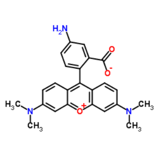 80724-17-0，5-Aminotetramethylrhodamine