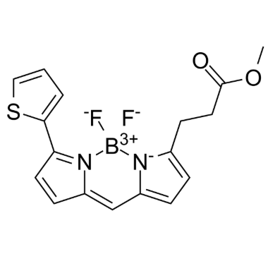 150173-71-0，BODIPY R6G Methyl Ester