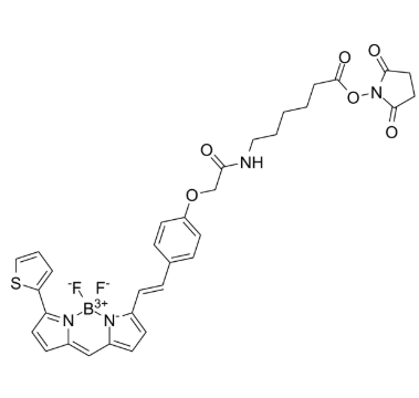380367-48-6，BODIPY 630-X SE