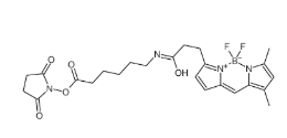 217190-09-5，BODIPY FL-X,SE