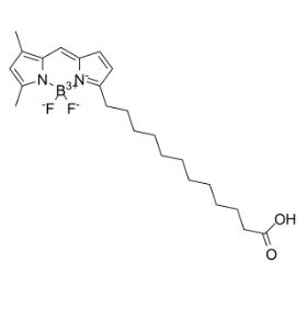 158757-79-0，BODIPY FL C12