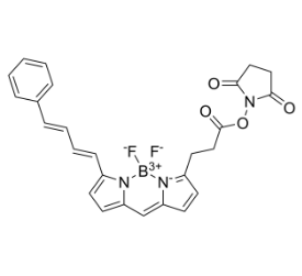 150152-70-8，BODIPY 581/591 NHS Ester