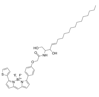 CAS：571186-05-5，BODIPY TR-Ceramide