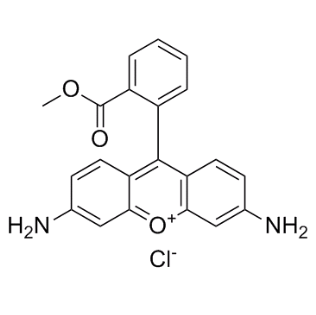 62669-70-9,Rhodamine 123