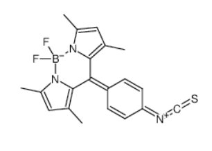 1349031-04-4｜BODIPY Isothiocyanate