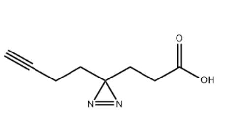 Alkyne-Diazirine-COOH，1450754-37-6