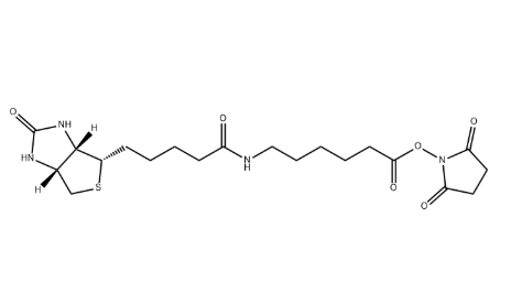 72040-63-2，Biotin X NHS ester