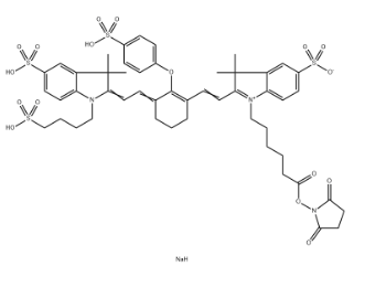 IRDye 800 NHS ester,956579-01-4