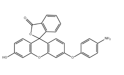 Aminophenyl fluorescein（APF，氨基苯基荧光素，359010-70-1）