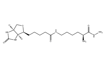 生物胞素酰肼（Biocytin HZ，CAS号：102743-85-1）
